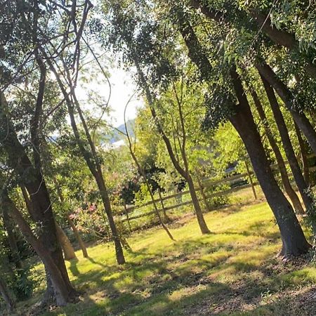 Chalet En Pleine Nature La Roquette-sur-Siagne Dış mekan fotoğraf