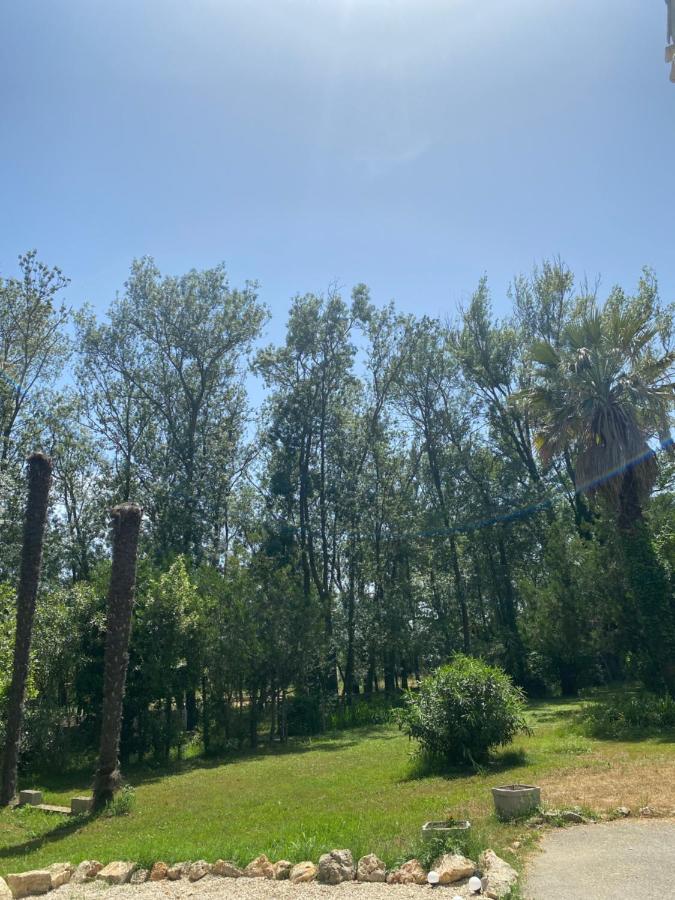 Chalet En Pleine Nature La Roquette-sur-Siagne Dış mekan fotoğraf