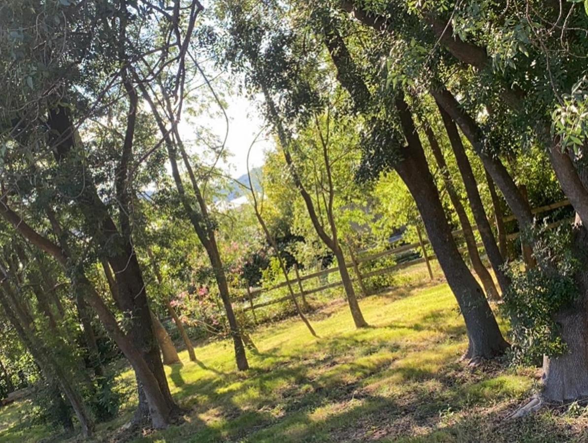 Chalet En Pleine Nature La Roquette-sur-Siagne Dış mekan fotoğraf